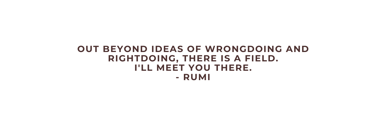 Out beyond ideas of wrongdoing and rightdoing there is a field I ll meet you there Rumi